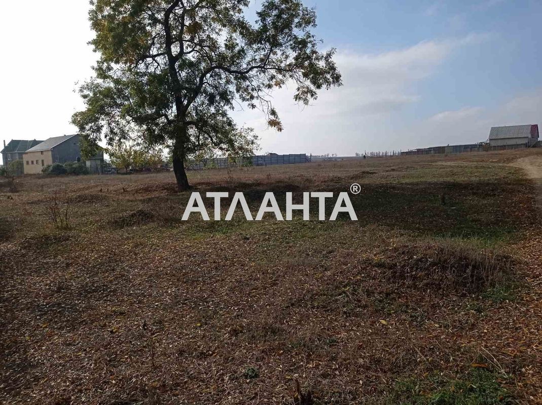 Landplot by the address st. Novoselov (area 19 acr) - Atlanta.ua - photo 10