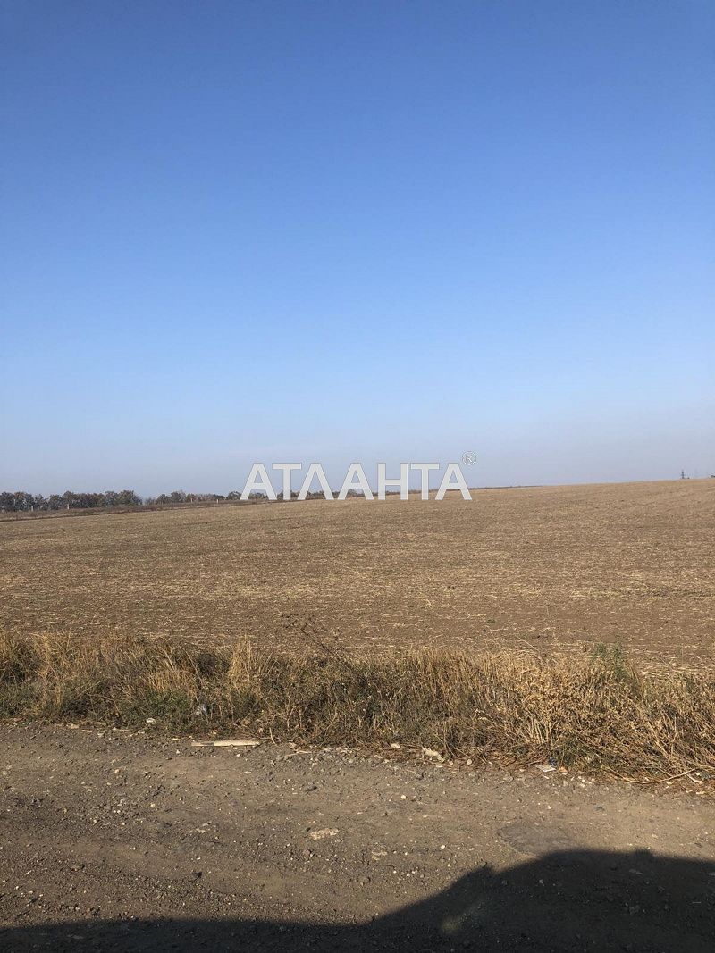 Landplot by the address st. Shkolnaya (area 6,6 acr) - Atlanta.ua - photo 2