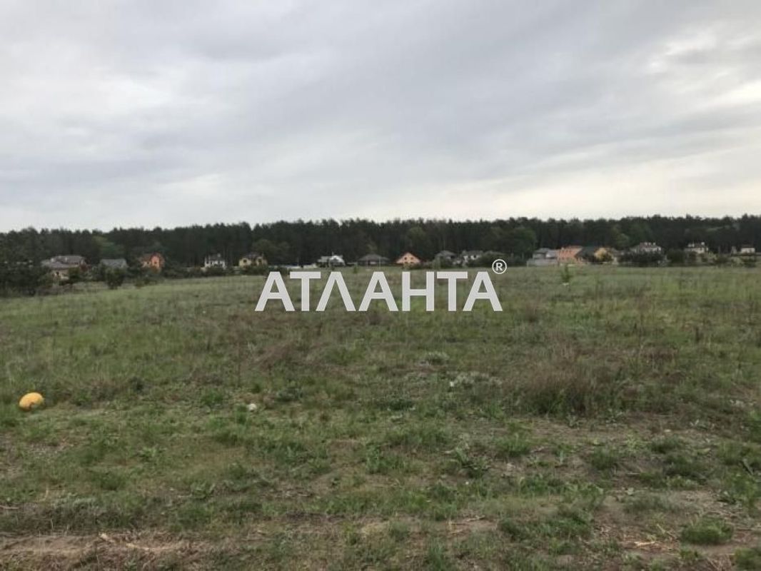 Landplot by the address (area 20 acr) - Atlanta.ua - photo 2