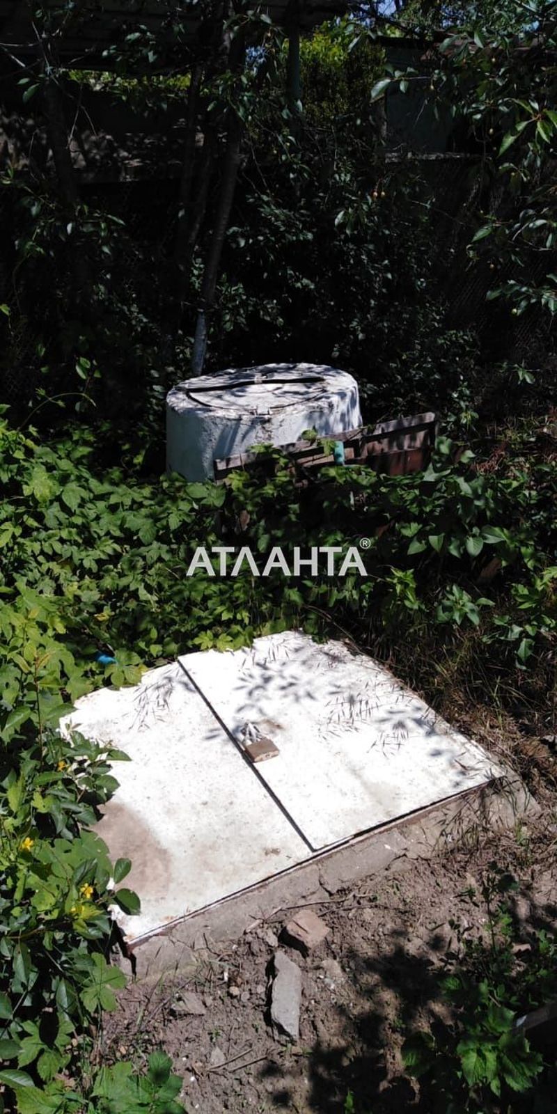 Landplot by the address st. MTS (area 6 acr) - Atlanta.ua - photo 4