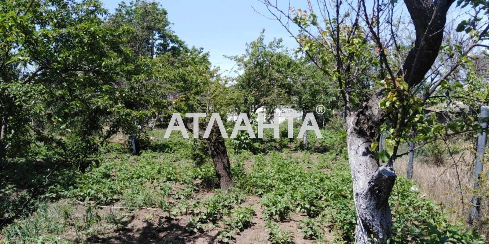 Landplot by the address st. MTS (area 6 acr) - Atlanta.ua - photo 2