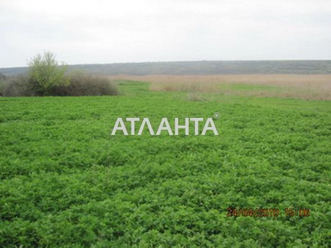 Landplot by the address (area 200 acr) - Atlanta.ua - photo 3