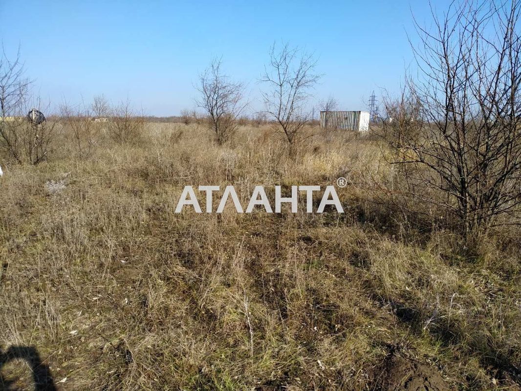 Ділянка за адресою вул. Тіниста (площа 10 сот) - Atlanta.ua - фото 3