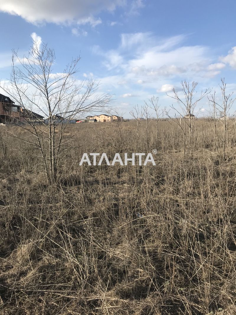 Участок по адресу ул. Закарпатская (площадь 10 сот) - Atlanta.ua - фото 3