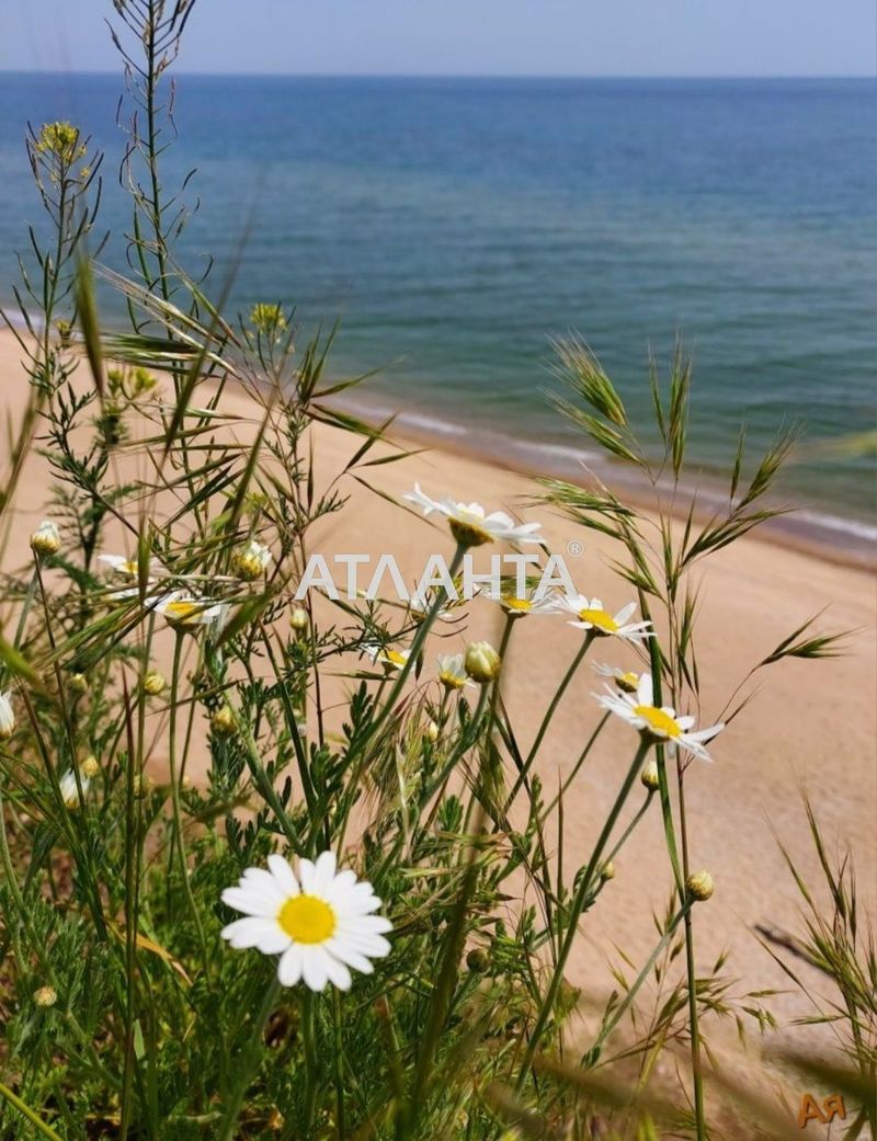 Landplot by the address st. Khrustalnaya (area 12,3 acr) - Atlanta.ua - photo 6