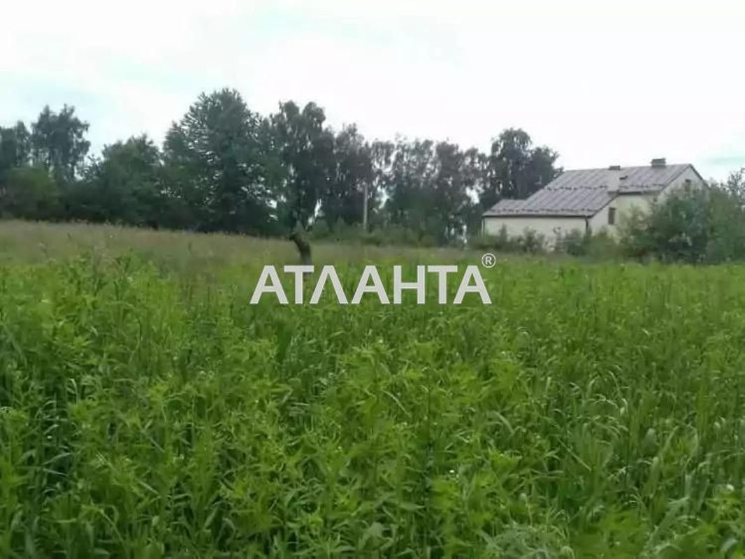 Landplot by the address st. Kozatskaya (area 27 acr) - Atlanta.ua - photo 4