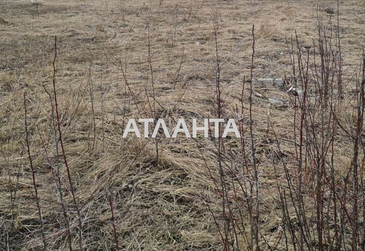 Ділянка за адресою вул. Затишна (площа 10 сот) - Atlanta.ua