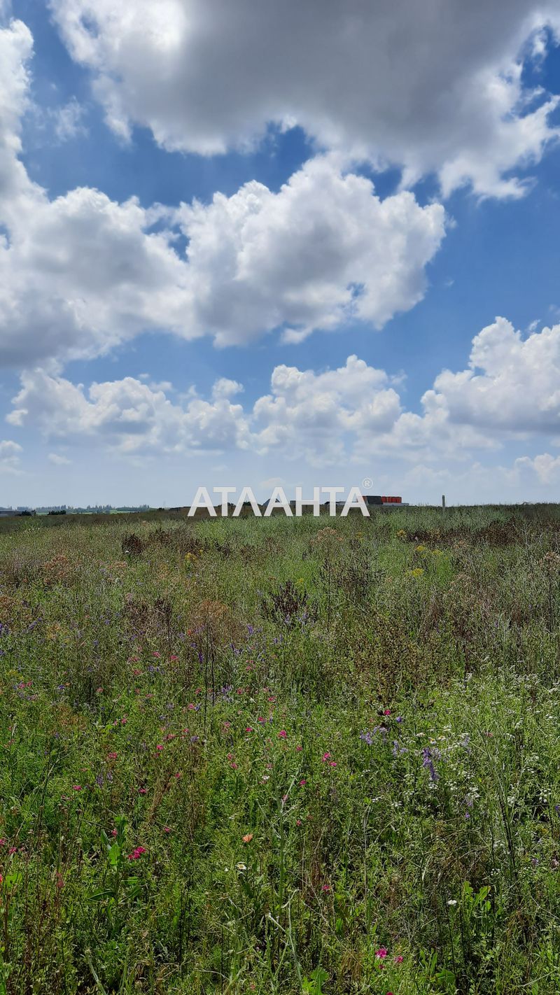 Ділянка за адресою вул. Поштова (площа 6,6 сот) - Atlanta.ua - фото 2