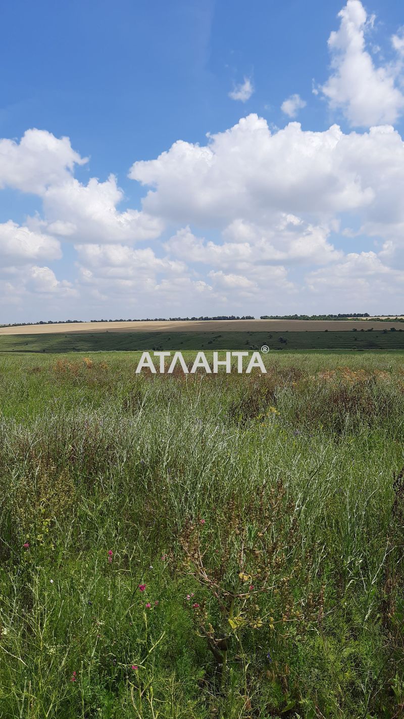Ділянка за адресою вул. Поштова (площа 6,6 сот) - Atlanta.ua - фото 9