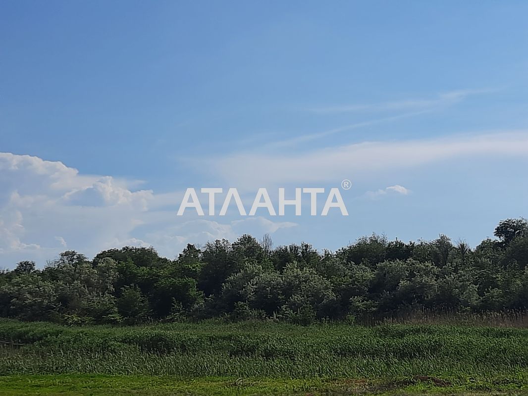 Участок по адресу ул. Шевченко (площадь 20 сот) - Atlanta.ua - фото 2
