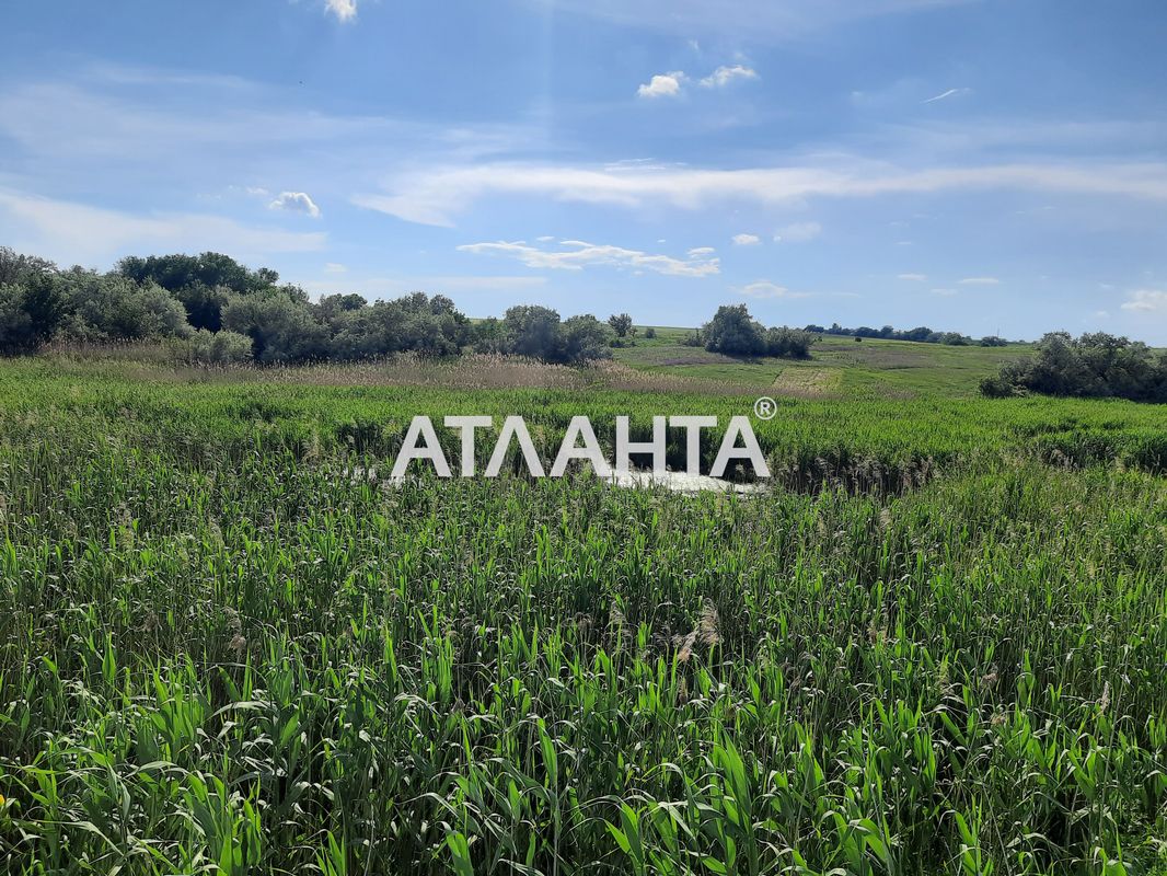 Участок по адресу ул. Шевченко (площадь 20 сот) - Atlanta.ua - фото 4