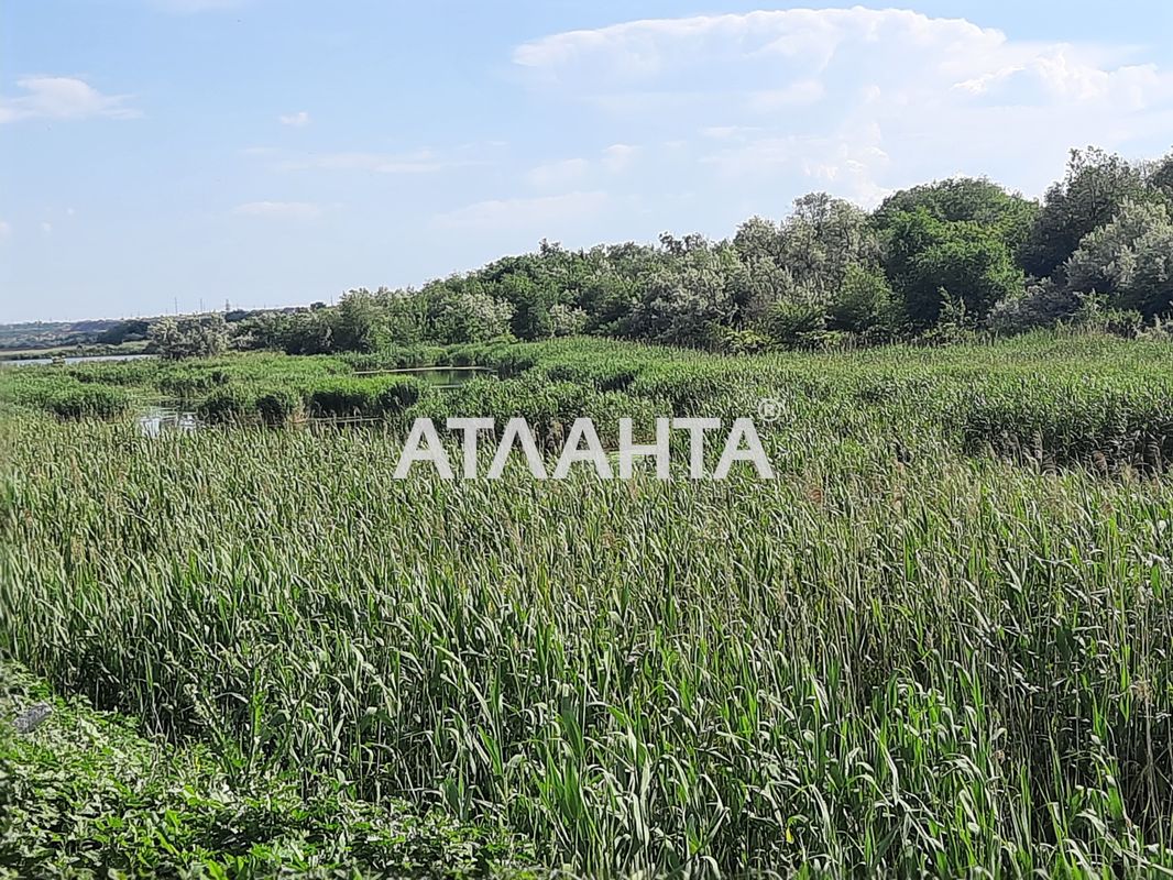 Участок по адресу ул. Шевченко (площадь 20 сот) - Atlanta.ua - фото 5