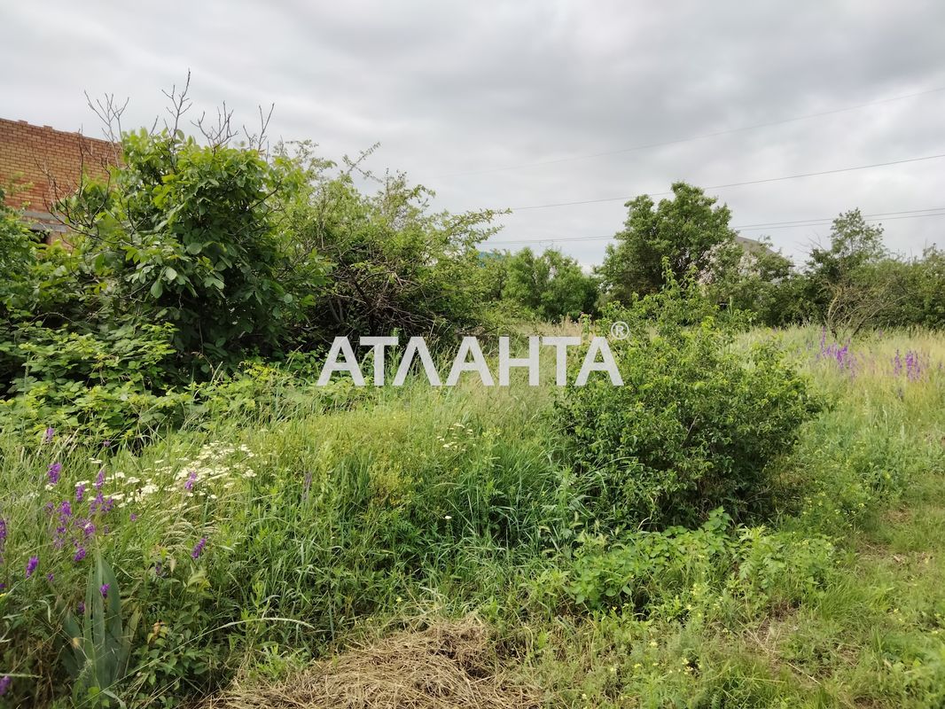 Landplot by the address (area 6 acr) - Atlanta.ua - photo 4