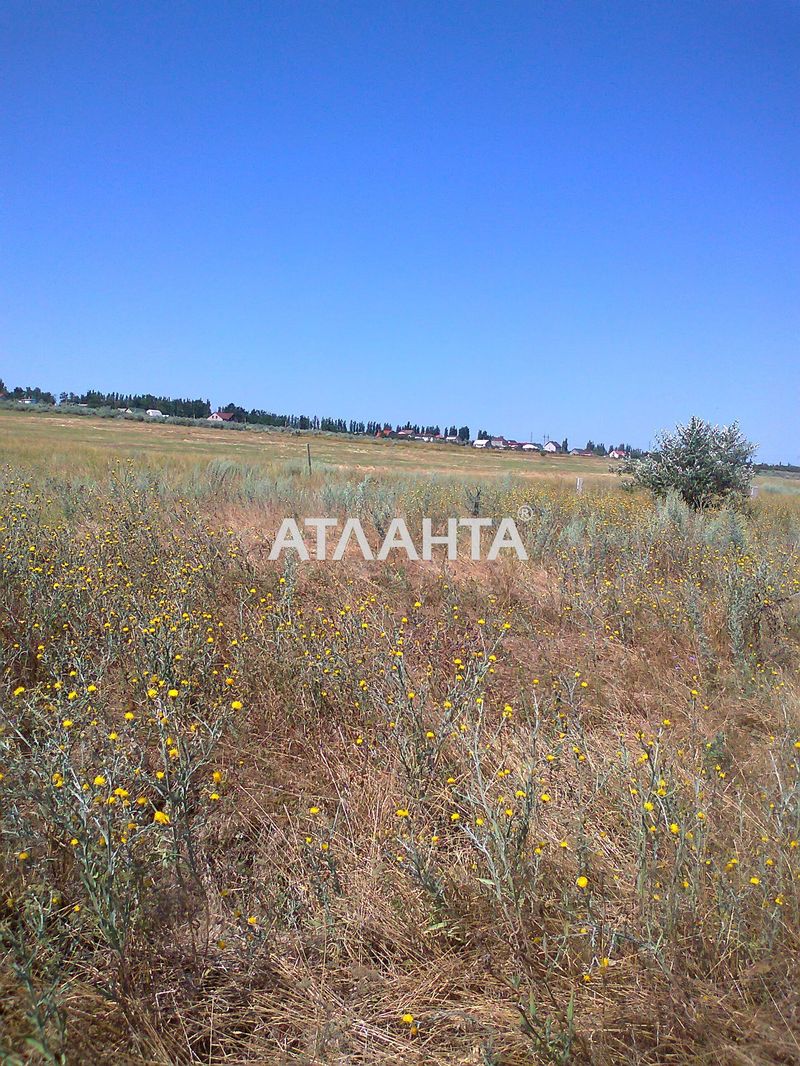 Landplot by the address st. Odesskaya (area 8 acr) - Atlanta.ua - photo 3