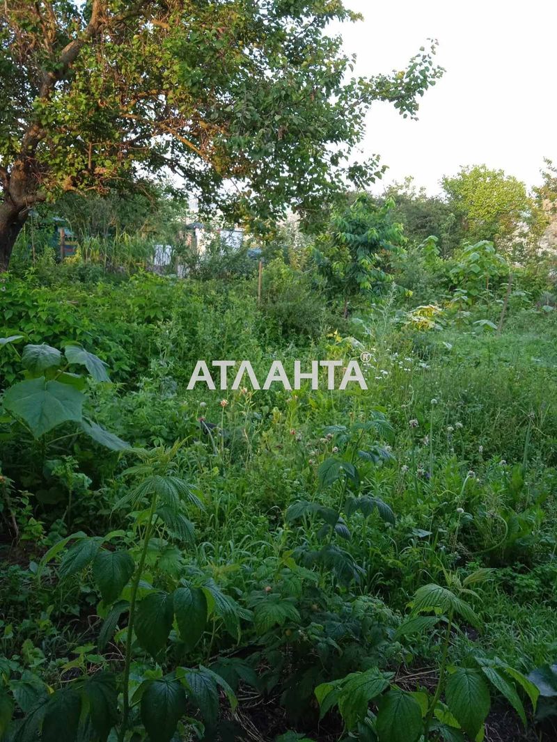 Участок по адресу ул. Виноградная (площадь 6 сот) - Atlanta.ua - фото 3
