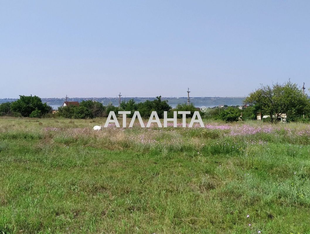 Landplot by the address st. Mitskevicha (area 10 acr) - Atlanta.ua - photo 2