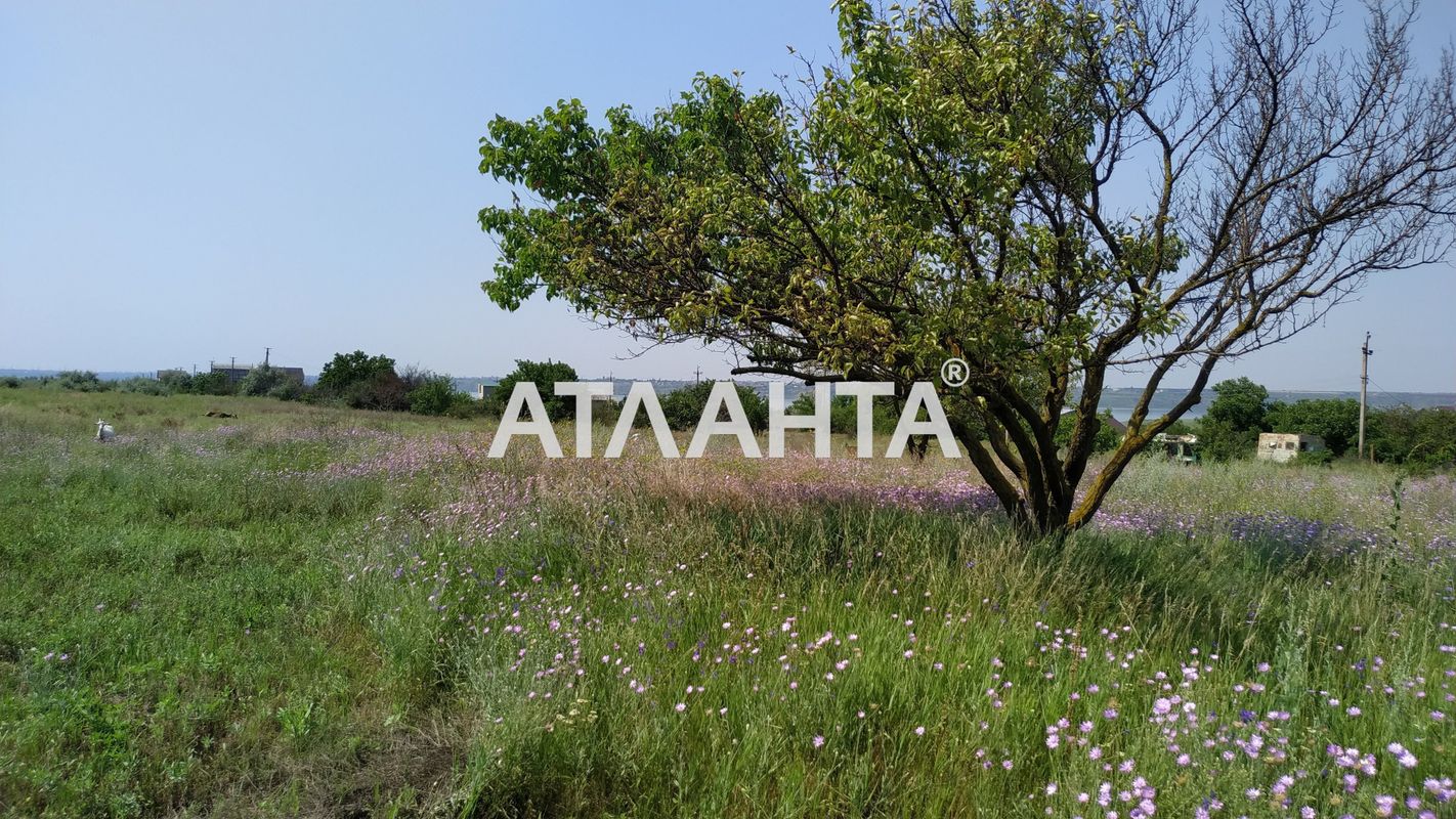 Landplot by the address st. Mitskevicha (area 10 acr) - Atlanta.ua - photo 9