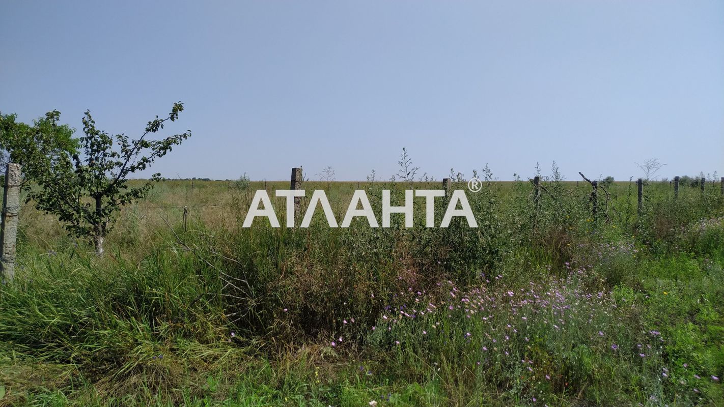 Landplot by the address st. Mitskevicha (area 10 acr) - Atlanta.ua - photo 11