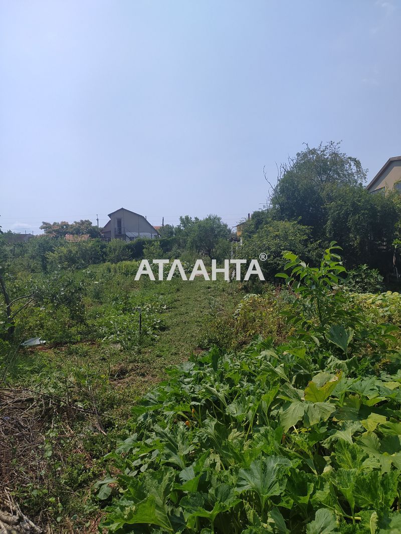 Landplot by the address st. Desantnaya (area 11,9 acr) - Atlanta.ua - photo 6