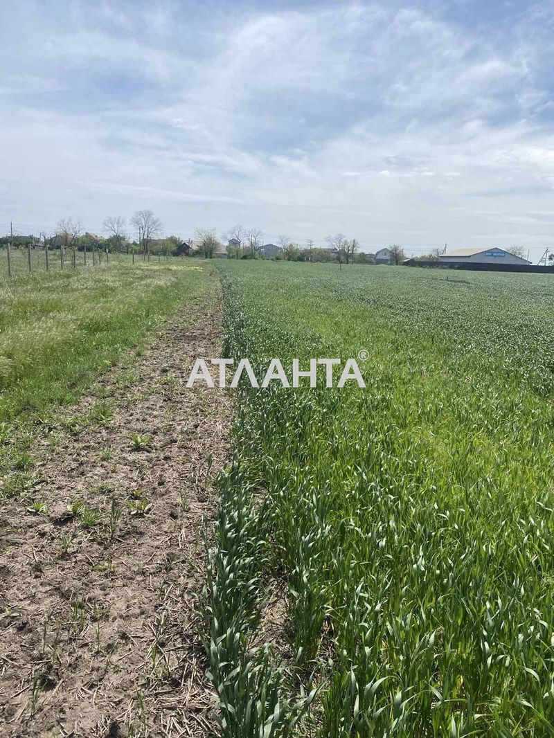 Landplot by the address st. Aleksandriyskaya (area 10 acr) - Atlanta.ua - photo 6