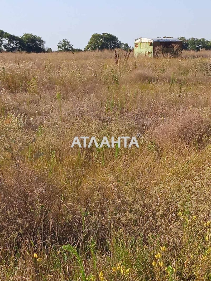 Участок по адресу ул. Донецкая (площадь 8,0 сот) - Atlanta.ua - фото 4
