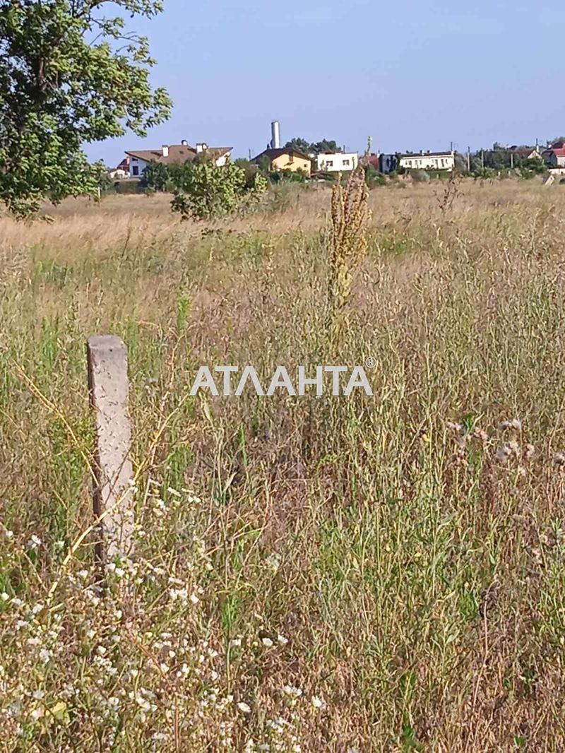 Участок по адресу ул. Донецкая (площадь 8,0 сот) - Atlanta.ua - фото 5