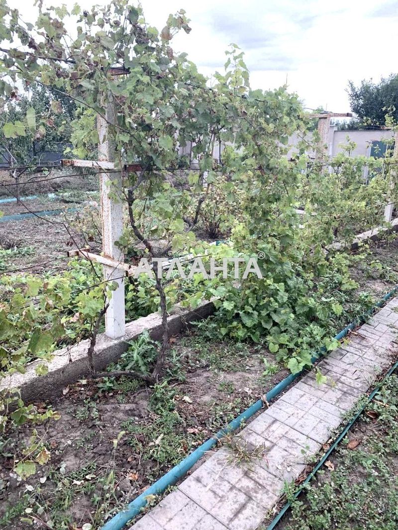 Landplot by the address st. Novoselov (area 5 acr) - Atlanta.ua - photo 2