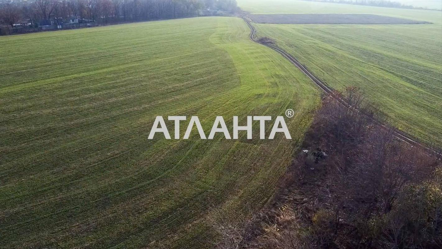 Landplot by the address st. Petrova gen (area 148 acr) - Atlanta.ua - photo 2