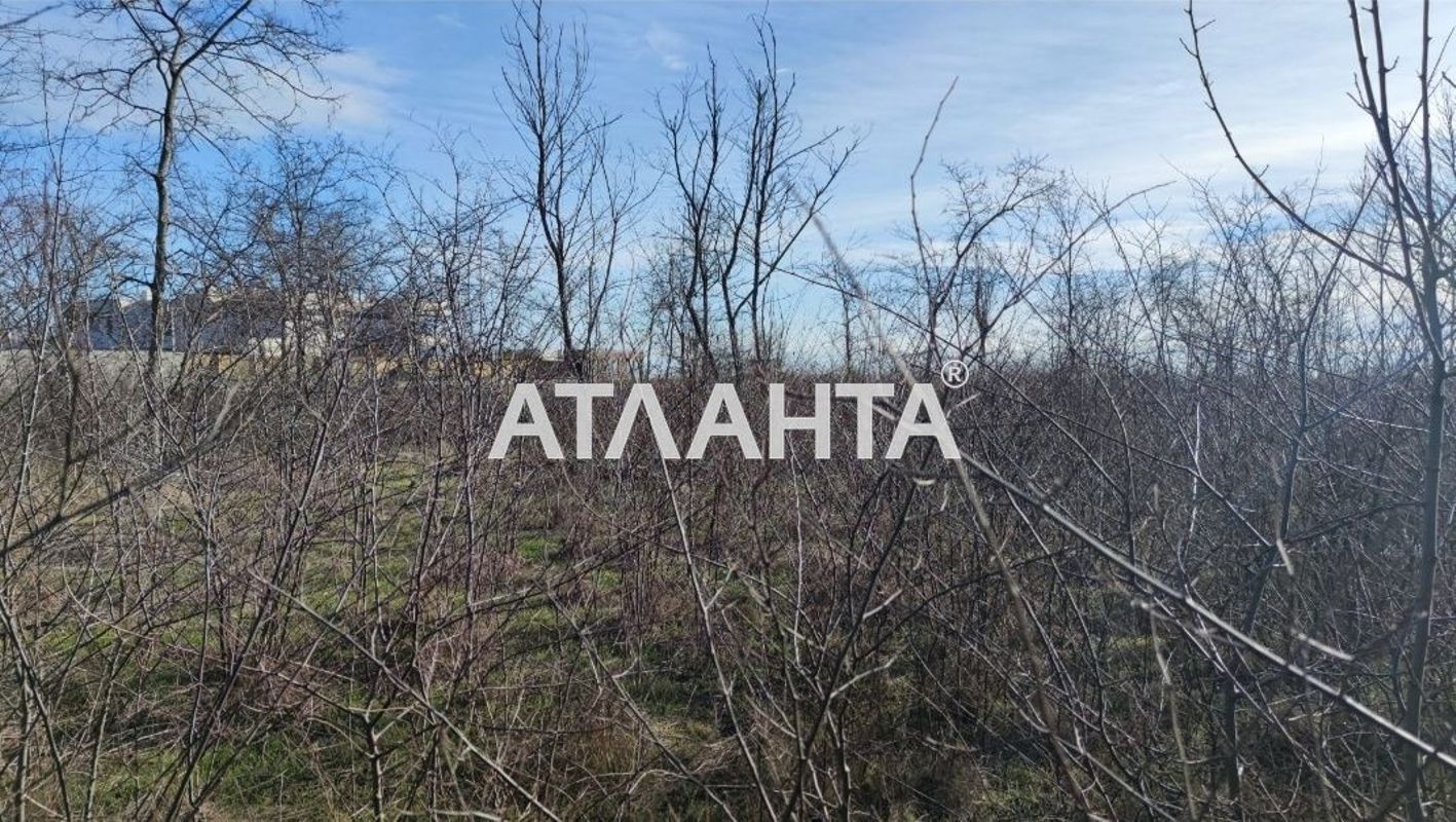 Ділянка за адресою вул. Зелена (площа 5 сот) - Atlanta.ua - фото 11