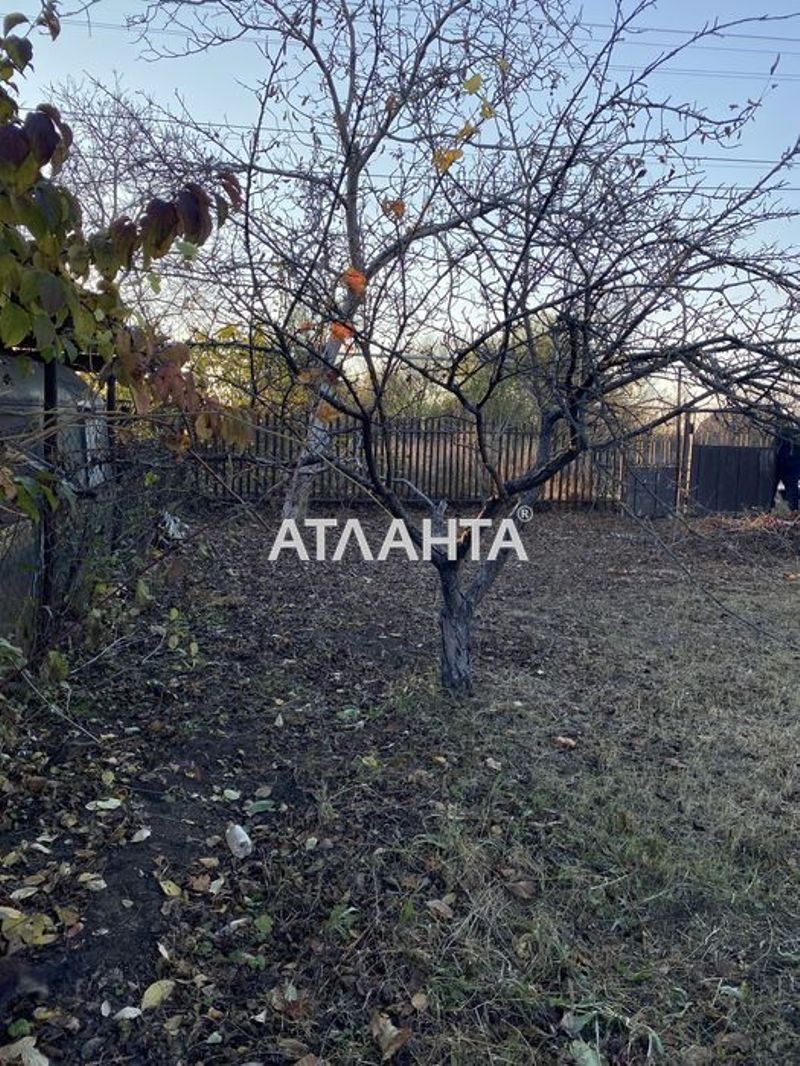 Участок по адресу ул. Тенистая (площадь 6 сот) - Atlanta.ua - фото 5