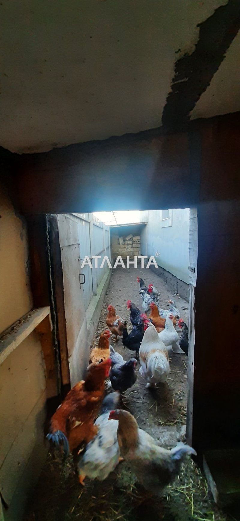 Дача (площадь 80 м²) - Atlanta.ua - фото 18