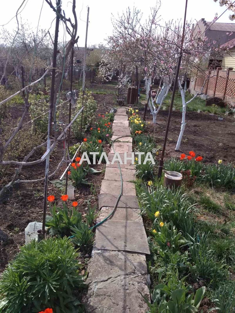 Участок (площадь 5,3 сот) - Atlanta.ua - фото 5