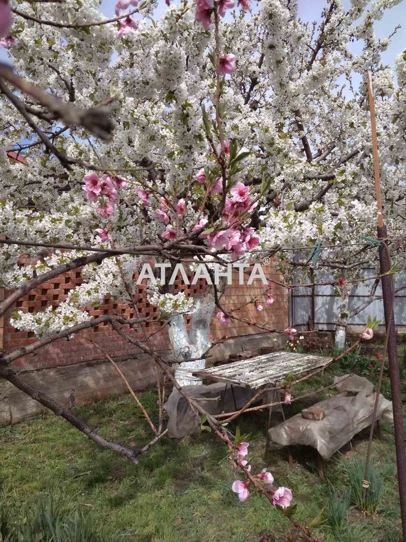 Участок (площадь 5,3 сот) - Atlanta.ua - фото 6