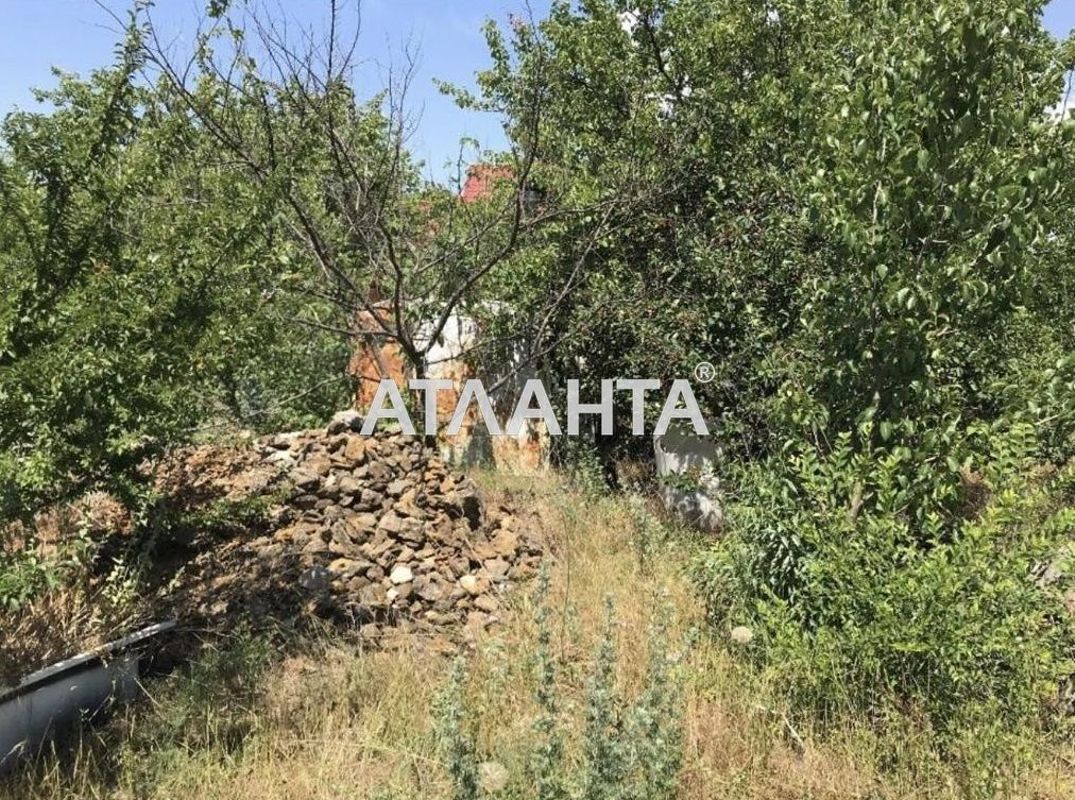 Landplot by the address st. Vinogradnaya (area 6 acr) - Atlanta.ua - photo 4