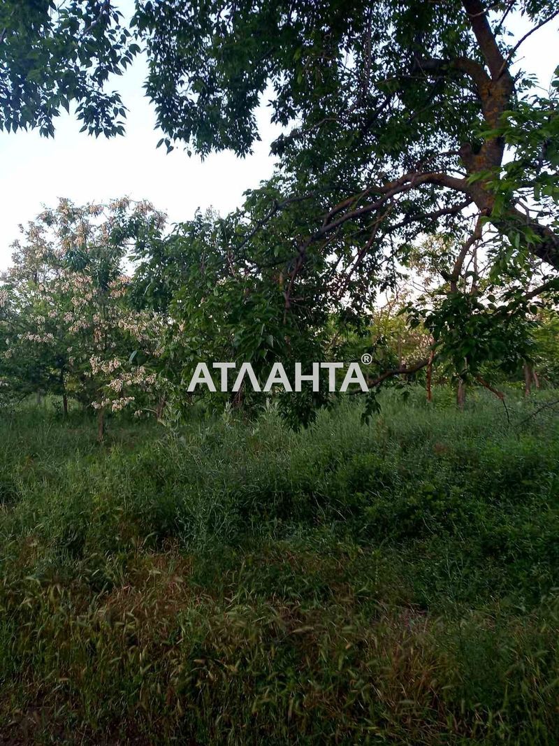 Landplot by the address st. Uyutnaya (area 4 acr) - Atlanta.ua - photo 3