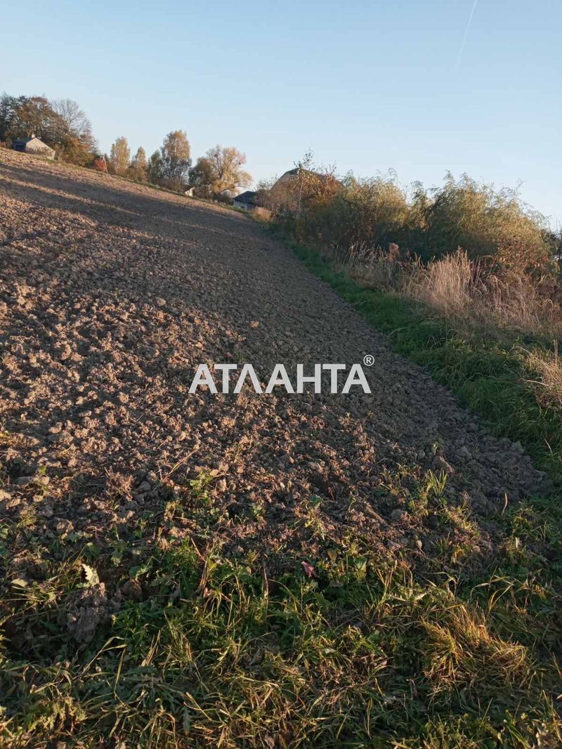 Landplot by the address (area 16 acr) - Atlanta.ua