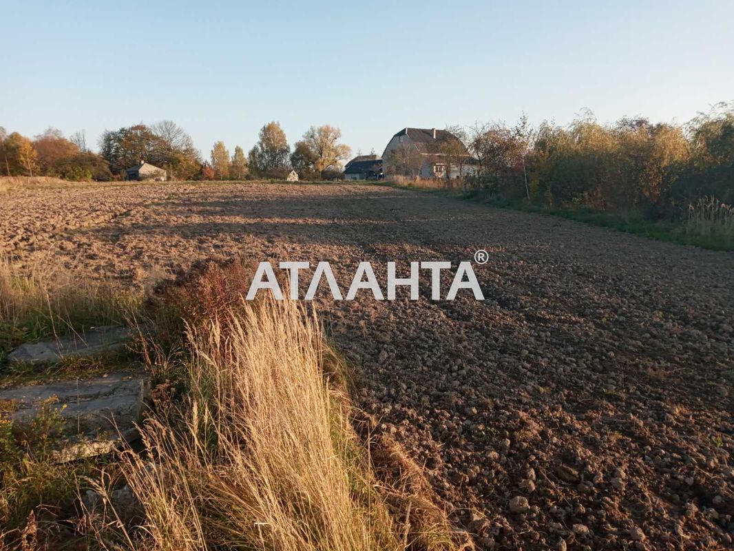 Landplot by the address (area 16 acr) - Atlanta.ua - photo 4