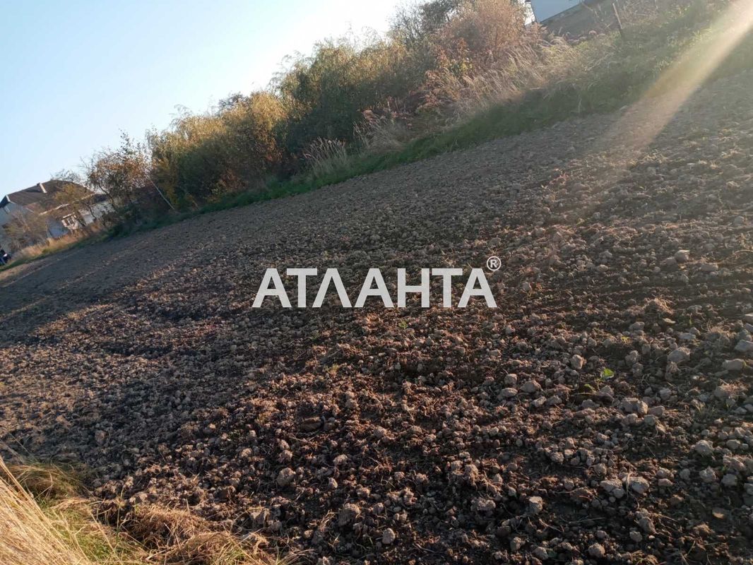 Landplot by the address (area 16 acr) - Atlanta.ua - photo 5