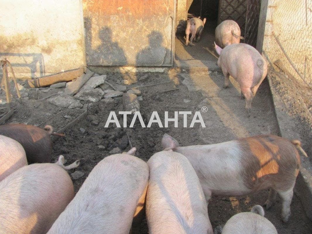 Commercial real estate at st. Lenina (area 900 m²) - Atlanta.ua - photo 35