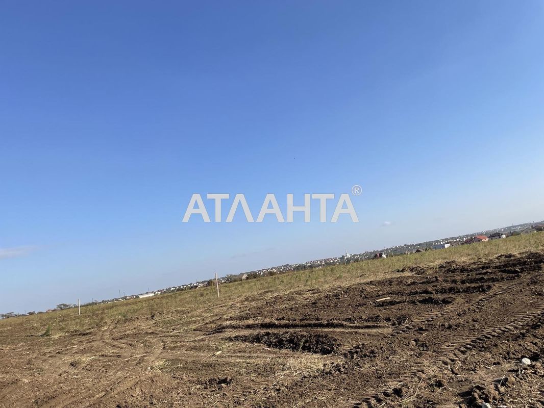 Участок по адресу ул. Массив №24 (площадь 6 сот) - Atlanta.ua - фото 2