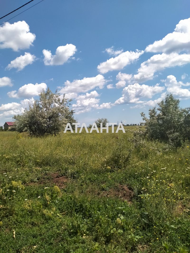 Landplot by the address st. Institutskaya (area 6,3 acr) - Atlanta.ua - photo 5