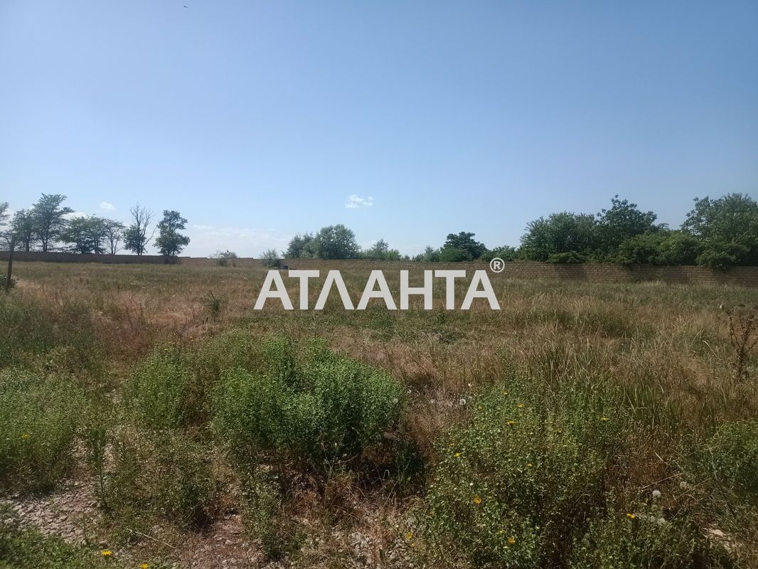 Landplot by the address st. Zhemchuzhnaya (area 10 acr) - Atlanta.ua - photo 3