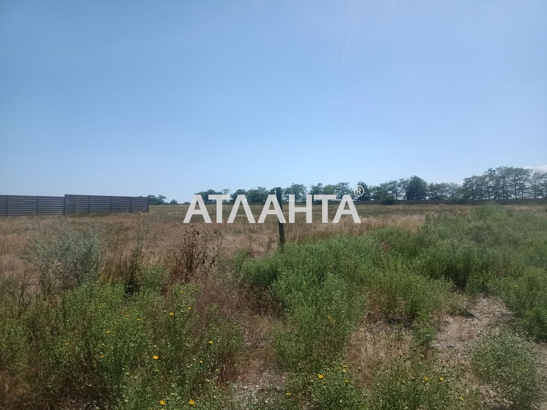 Landplot by the address st. Zhemchuzhnaya (area 10 acr) - Atlanta.ua - photo 4