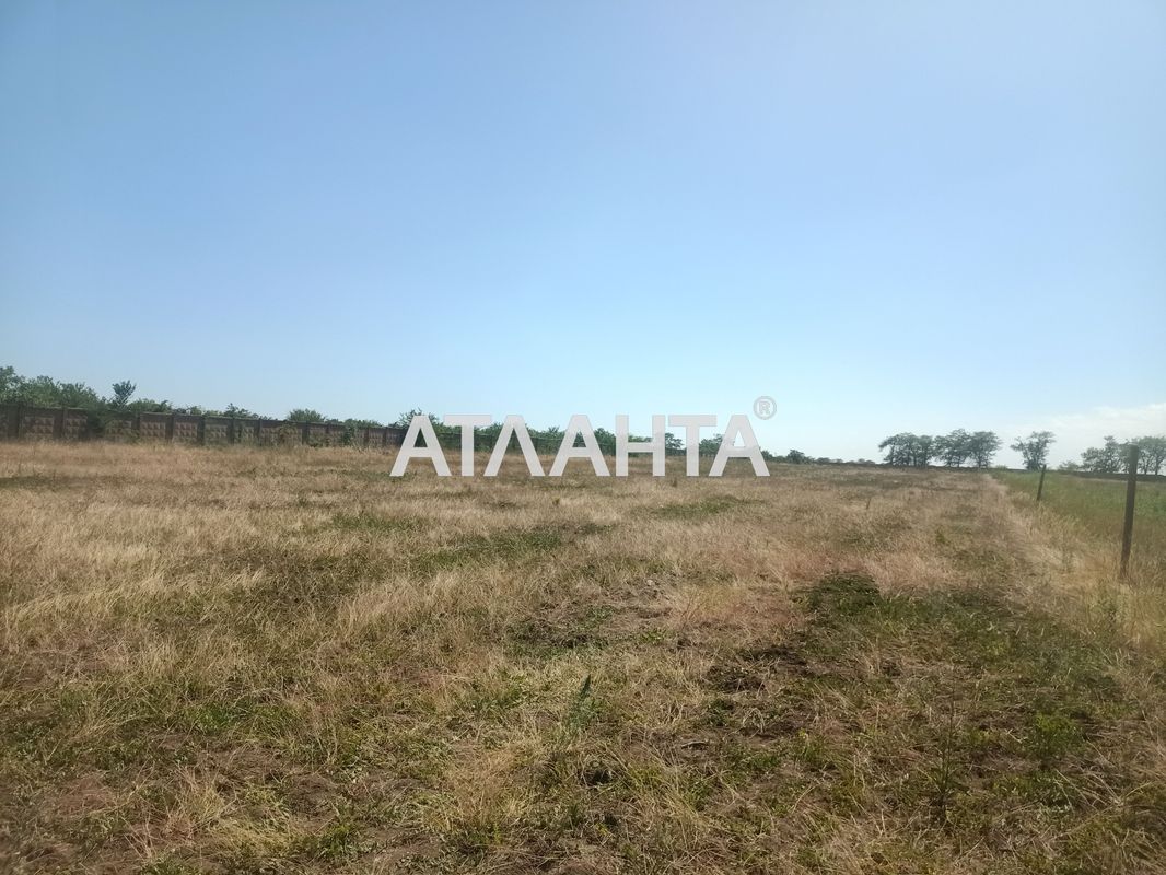 Landplot by the address st. Yantarnaya (area 10 acr) - Atlanta.ua - photo 2