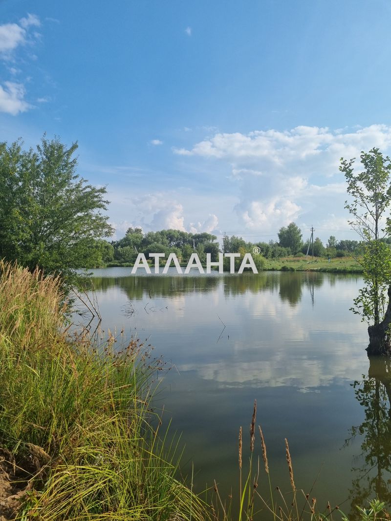 Участок по адресу ул. Шевченка (площадь 24 сот) - Atlanta.ua - фото 5