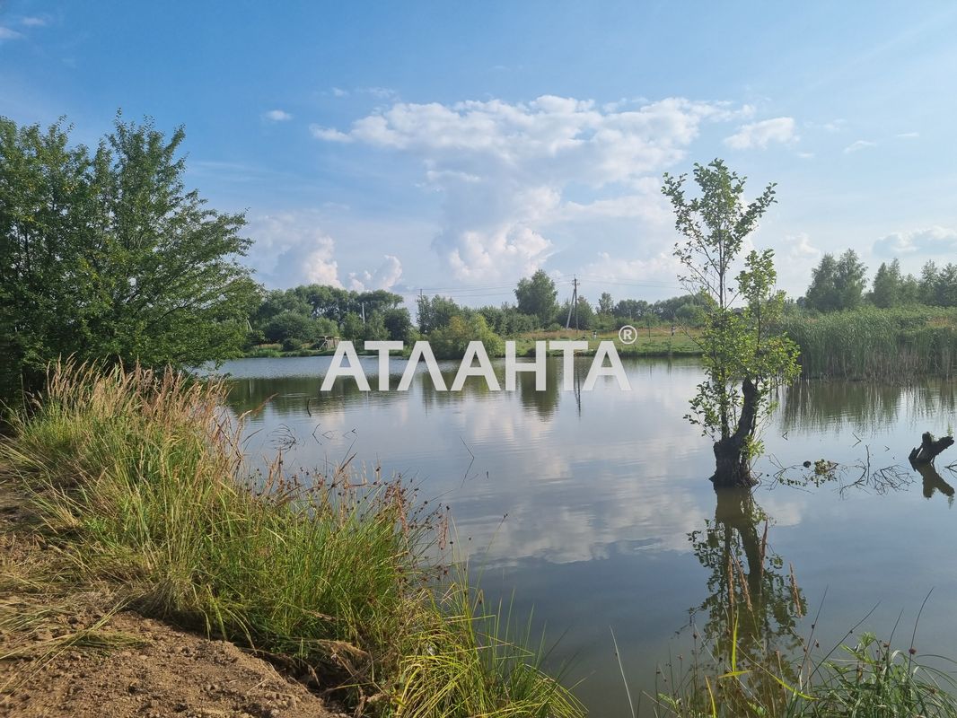 Участок по адресу ул. Шевченка (площадь 24 сот) - Atlanta.ua - фото 2