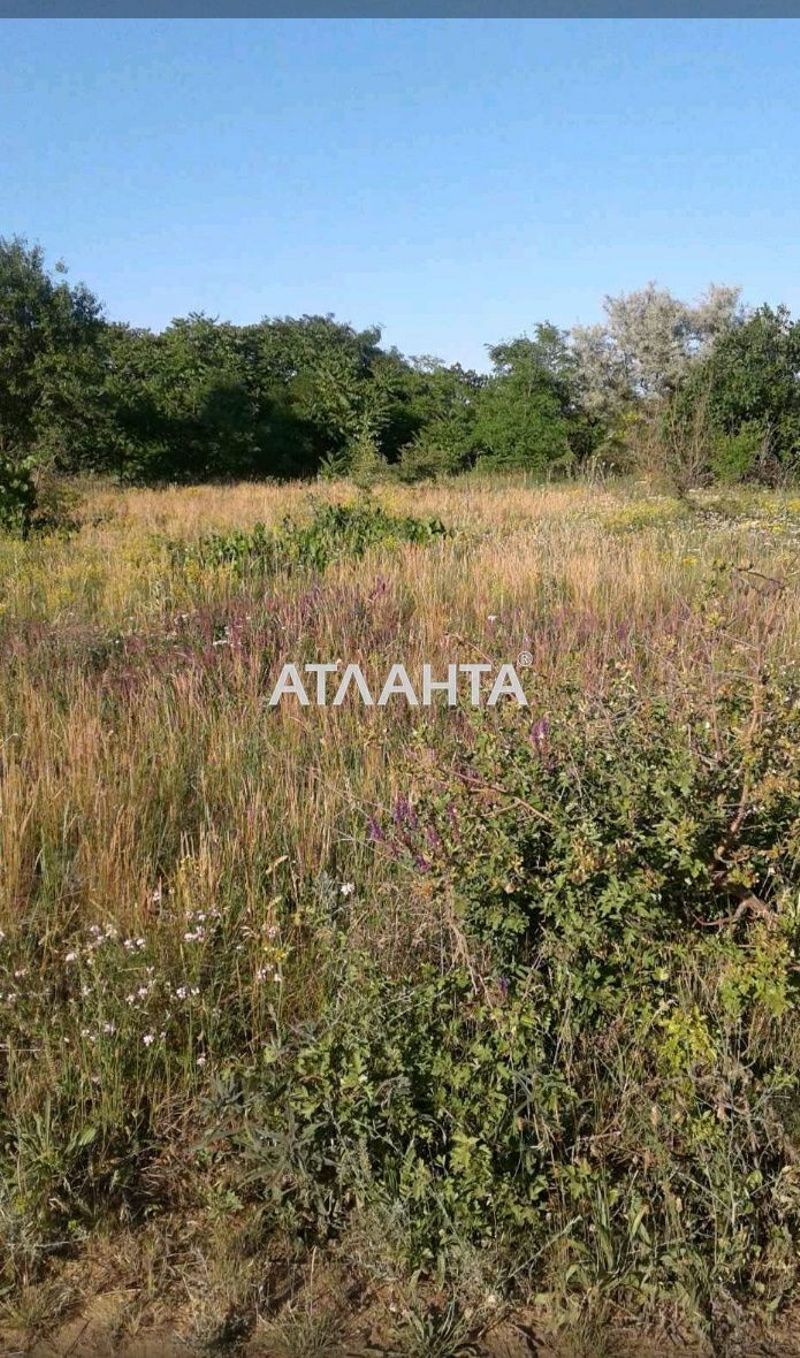 Участок по адресу ул. Малиновая (площадь 6 сот) - Atlanta.ua - фото 3