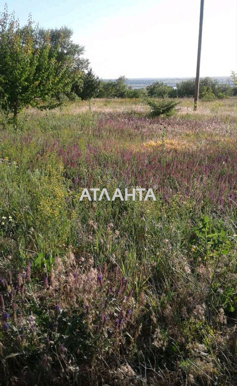Участок по адресу ул. Малиновая (площадь 6 сот) - Atlanta.ua - фото 5