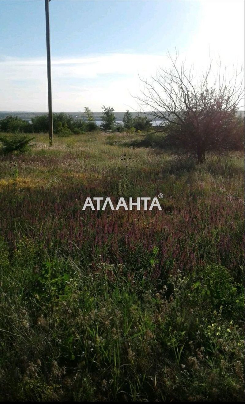 Участок по адресу ул. Малиновая (площадь 6 сот) - Atlanta.ua - фото 6