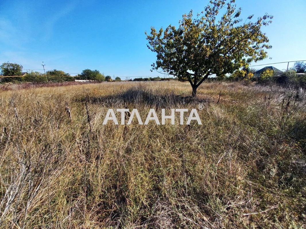 Landplot by the address st. Spaskaya Lazo Sergeya (area 36,5 acr) - Atlanta.ua - photo 5